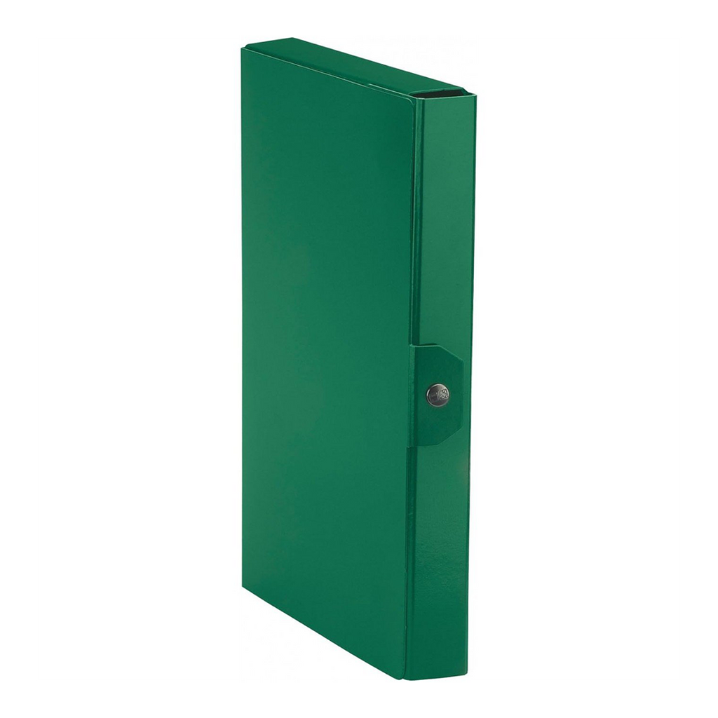 Esselte C24 EUROBOX Cartella per Progetti - 25 x 35 cm - Dorso 4 cm - Verde - Confezione da 1