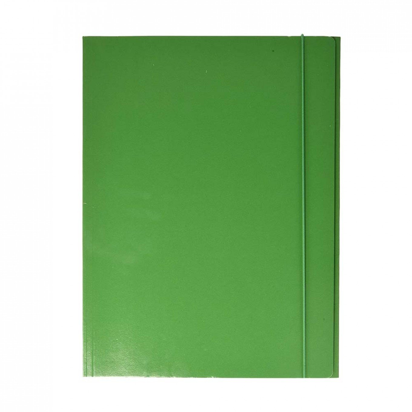 Esselte C46 Cartella a 3 lembi Realizzata in Cartoncino da 550 gr con Elastico Colore Verde Confezione da 5